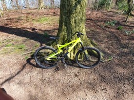 calibre beastnut for sale